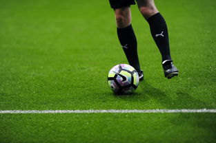Leyu Sport登录入口-西甲赛季中球员体能衰减及其恢复干预效果研究，西甲球员场均跑动距离