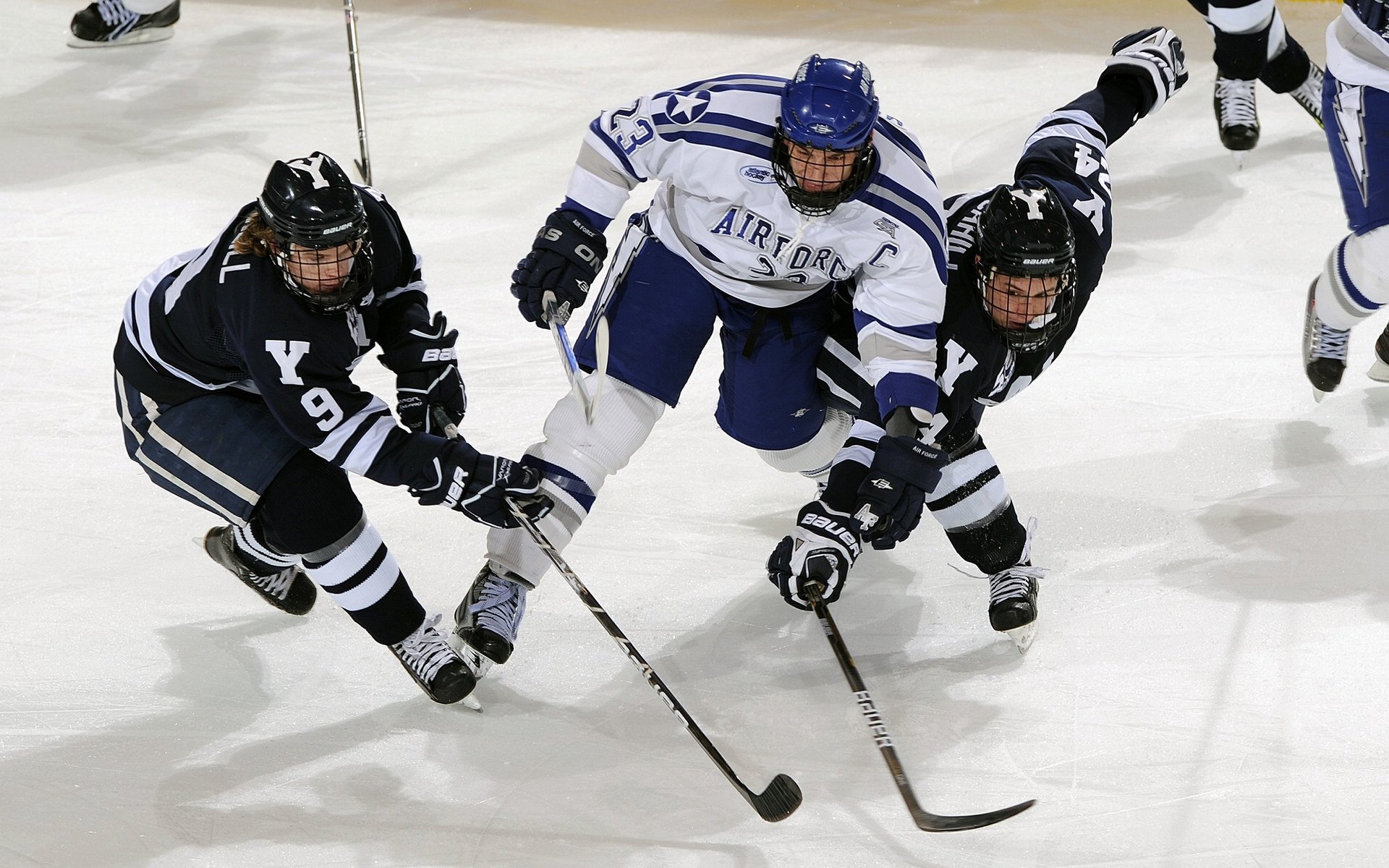 乐鱼vip-【青训新星】未来领军人物潜力无限，未来青年领袖